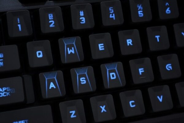 g310